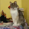Отзыв от Надежда Белова